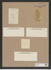 Stephanopyxis turris v. parvispina Grun. (de-Toni-Nr.: Genus 187, Species 4624) Zeichnungen Sammlung Grunow Nr. 8254 (NHMW-BOT-W0377649)